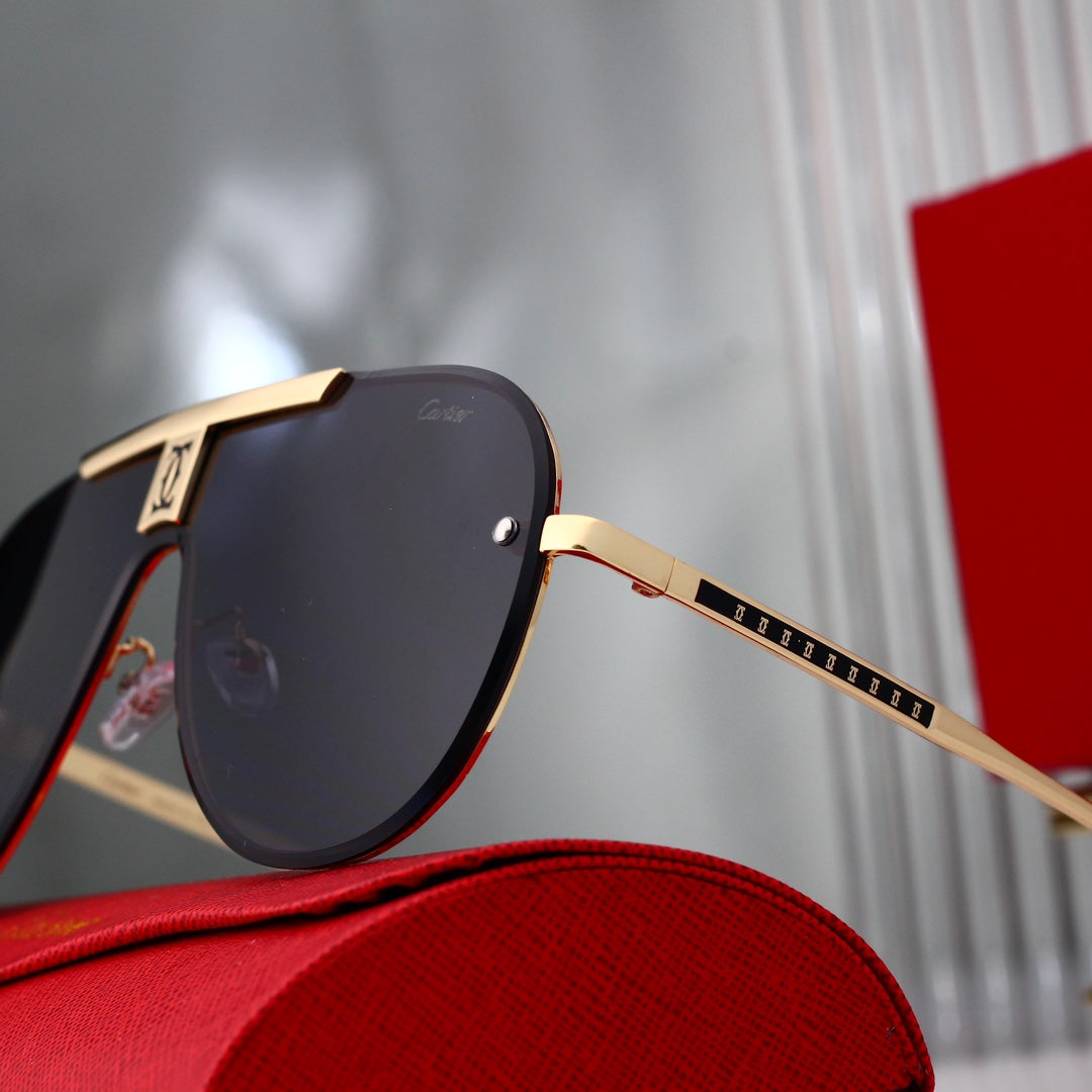 Modern Style Integrated Sunglasses